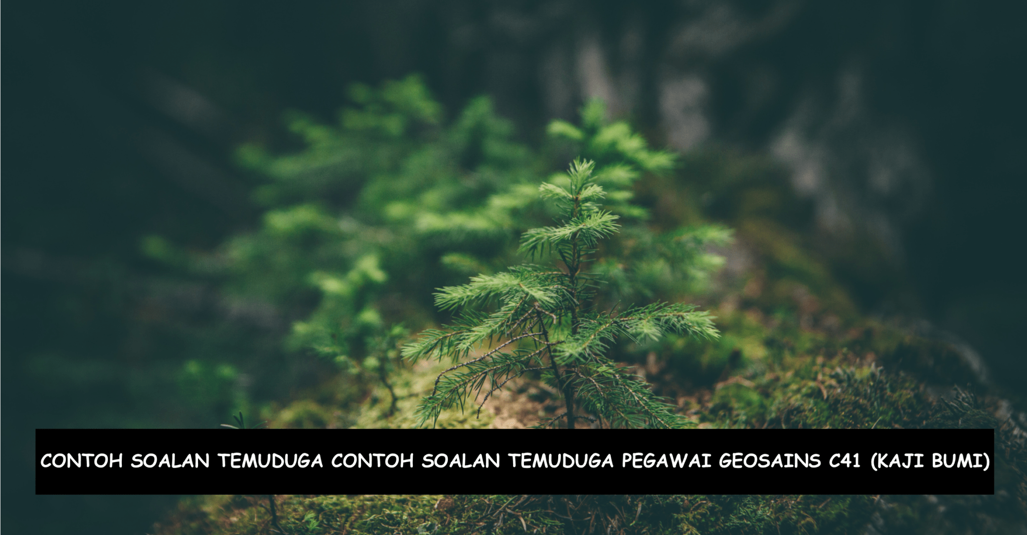 Contoh Soalan Temuduga Pegawai Geosains C41 (Kaji Bumi)